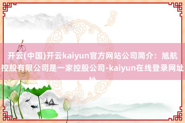 开云(中国)开云kaiyun官方网站公司简介：旭航控股有限公司是一家控股公司-kaiyun在线登录网址