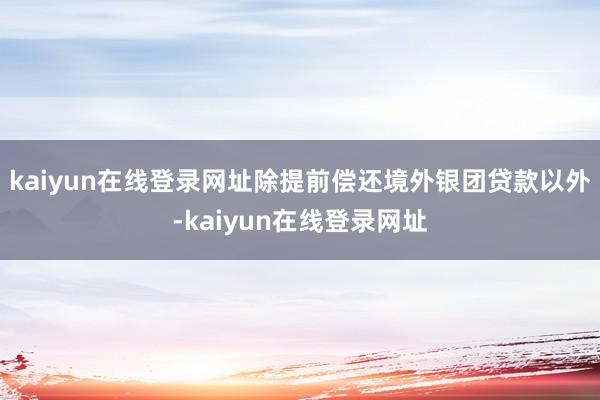 kaiyun在线登录网址除提前偿还境外银团贷款以外-kaiyun在线登录网址