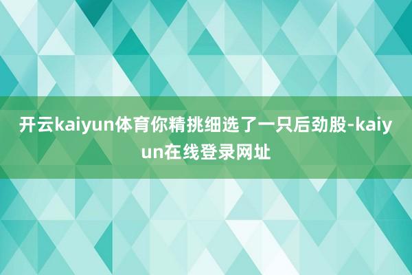 开云kaiyun体育你精挑细选了一只后劲股-kaiyun在线登录网址