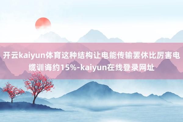 开云kaiyun体育这种结构让电能传输罢休比厉害电缆训诲约15%-kaiyun在线登录网址