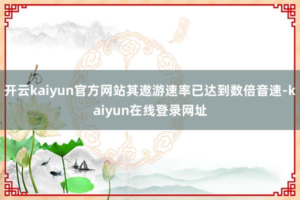 开云kaiyun官方网站其遨游速率已达到数倍音速-kaiyun在线登录网址